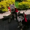 michaelsheila - @michaelsheila - TikTok