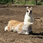 @sheilamickey23 - Instagram