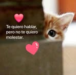 Sheyla Molina - Facebook