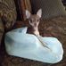 Sheila Mobley - Facebook