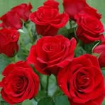 Sheila Mohan - Facebook
