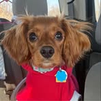 Sheila Nelson - Facebook