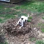Sheila North - @gymteacher45 - Instagram