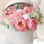 Sheila Pizzo - @sheila.pizzo - Instagram