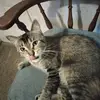 Sheila Plessel - @sheila.plessel - TikTok