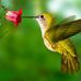Sheila Primm - Facebook