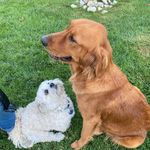Sheila Rapp - @sheila.c.rapp - Instagram