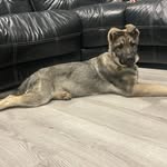 Sheila_REA - @sheila_rea_lietuva - Instagram