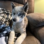 Sheila Riddle Kemp - @riddlekemp - Instagram