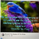 Sheila Roark - @roark9848 - Instagram