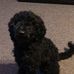 Sheila Roark - Facebook