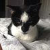 Sheila Davis Robitaille - Facebook