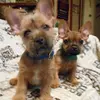 Sheila Crooks - @sheila.crooks - TikTok