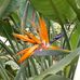 Sheila Rooks - Facebook
