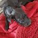 Sheila Rosner - Facebook