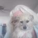 Sheila Rosner - Facebook