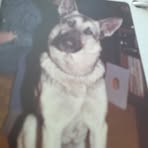 Sheila A. Rust - Facebook