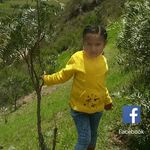 Sheila Ruth - @sheilaruth7542 - Instagram