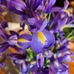 Sheila Ryals - Facebook