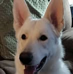 Sheila Sampson - Facebook