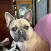 Sheila Saunders220 - @sheila_saunders1973 - TikTok