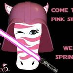 sheila schmitz - @pinkzebrawithsheila - Instagram