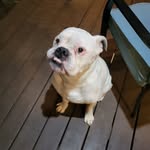 Sheila Williams Shipman - @sheila415 - Instagram