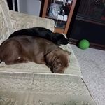 Sheila Shorter Asher - @smasher64 - Instagram