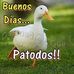 Sheila Tejada Silverio - Facebook