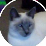 @sheila_simonson - Instagram