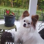sheila slaughter - @slaughter3965 - Instagram