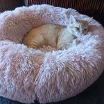 Sheila Slaughter - @sheila.slaughter.7771 - Instagram