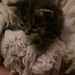 Sheila Snellgrove - @snellgrove.sheila - Instagram