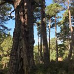 Sheila Snellgrove - @sheila.snellgrove.9 - Instagram