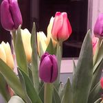 Sheila Spanier - @sheilaspanier - Instagram