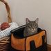Sheila Steiner - Facebook