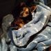 Sheila Stephens - Facebook