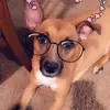 sheilastephens177 - @sheilastephens177 - TikTok