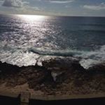 Sheila Stratton - @dreamacre2 - Instagram