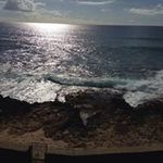 Sheila Stratton - @dreamacre1 - Instagram