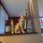 Sheila Stuart - @sheilastuart75 - Instagram