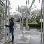 Sheila Dayana Taborga Vargas - @sheilataborga - Instagram
