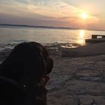 Sheila Taborini - @sheilataborini - Instagram