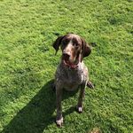 Sheila Tait - @kaslo59 - Instagram