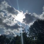 Sheila Tait - @sheila.tait.7796 - Instagram
