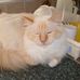 Sheila Tait - Facebook