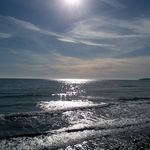 Sheila Tapscott Beamish - @sheilabeamish - Instagram