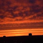Sheila Thayer - @thayer.sj - Instagram