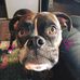 Sheila Thayer - Facebook