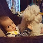 Sheila Thibodeau Shouse - @thibodeaushouse - Instagram